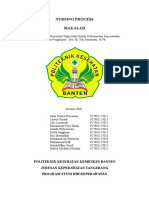 Proses Keperawatan