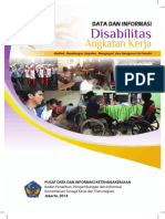 Angkatan Kerja: Disabilitas