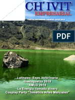 Revista Ch´ivit Empresarial julio 2018