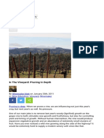 In The Vineyard: Pruning in Depth
