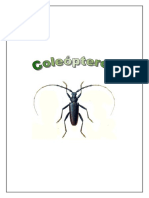 insectos gran guia coleoptero (buenisimo con laminas antiguas).pdf