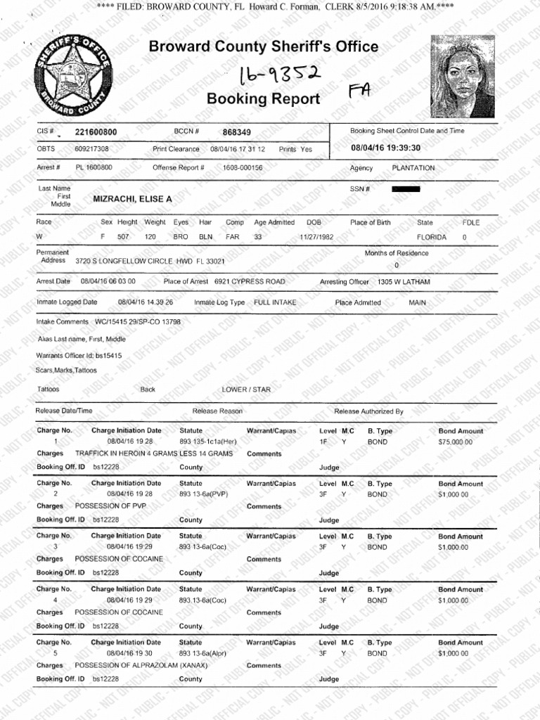 Booking sheet from Elise Mizrachi arrest in Broward County Violence(00)