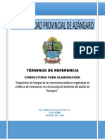 TDR_PROGRAMA11.docx