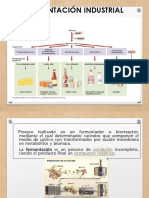 Microorganismos y Alimentos Fermentados