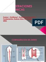 Consideraciones Anatomicas (1).Output