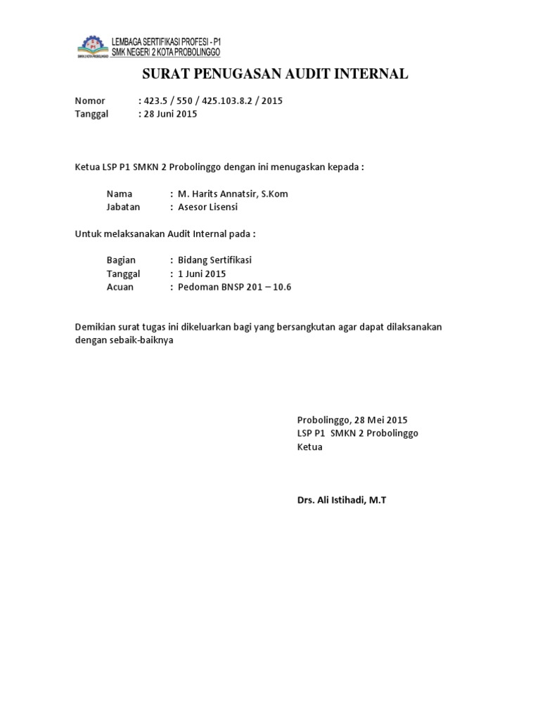 Audit Internal Lsp