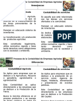 semejanzasydiferenciasempresasagricolasyservicios-130224083114-phpapp01.pptx