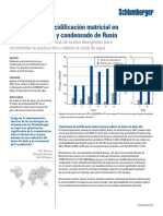 oilseeker_daill_alliance_russia_cs_esp.pdf