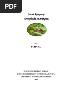 Download Copy of Semut Rangrang Ppt Entomologi by niadaniati SN38398996 doc pdf