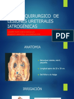 Manejo Quirúrgico de Lesiones Ureterales Iatrogénicas