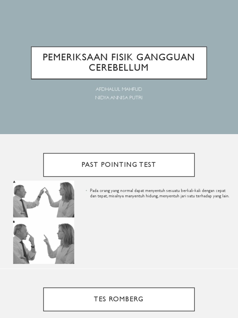 Sasha Cerebellum | PDF | Pengembangan Diri