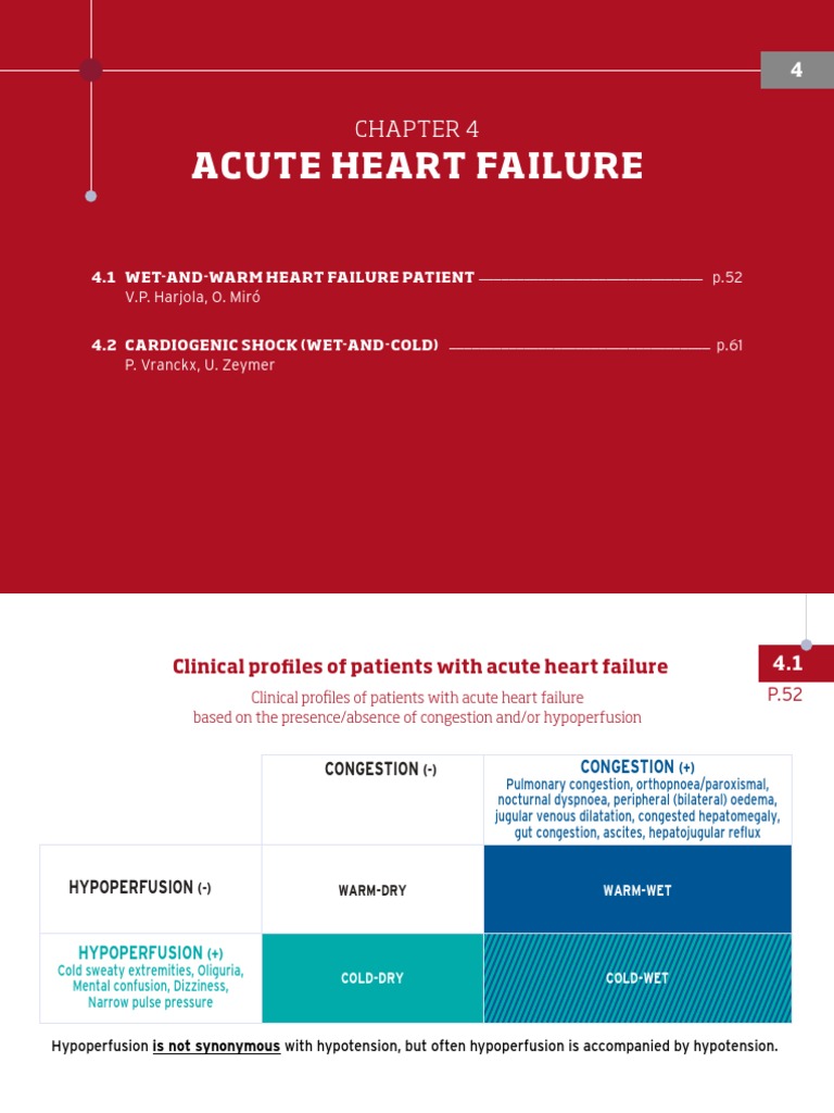 Acut Heart Failure Shock Circulatory Heart - 