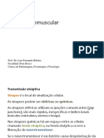 açao-neuromuscular.pptx