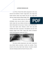 Laporan Pendahuluan Efusi Pleura