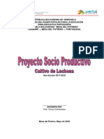 Proyecto Socio Productivo - Cultivo de Lechosa