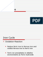 Iron Cycle