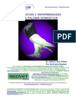 Revista Guía prevención y enfermedades de la paloma doméstica.pdf