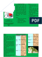 Leaflet Diet Penyakit Jantung