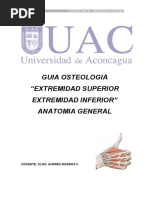 Osteologia Extremidades Anatomia Uac[1]