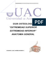 Osteologia Extremidades Anatomia Uac