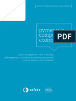 PyMESyCompetenciaEconomica 250815 vf1