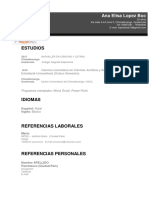 9 Curriculum Vitae Profesional Gris