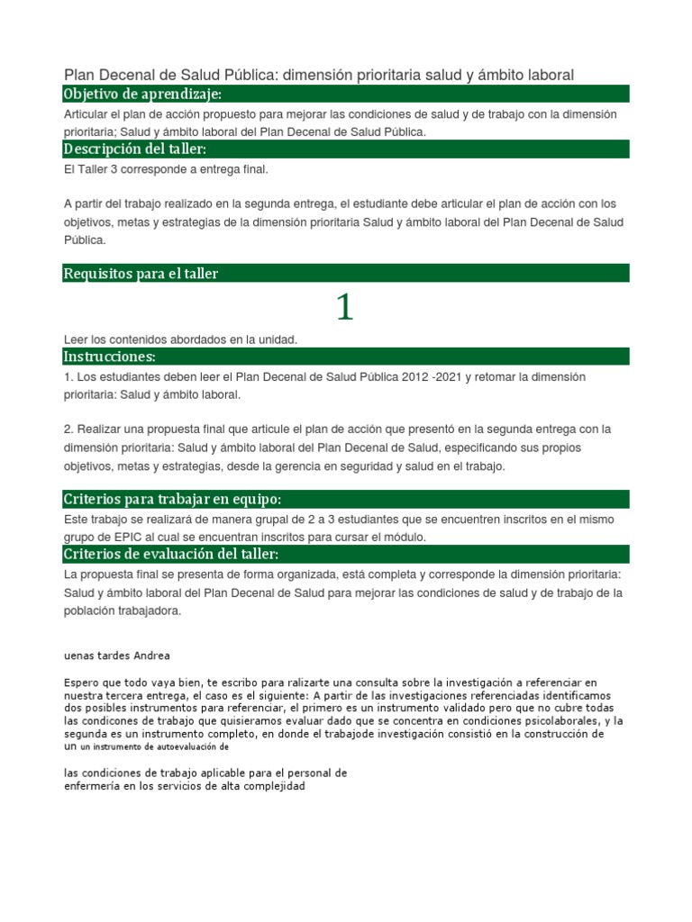 Taller Plan Decenal De Salud Pública Pdf