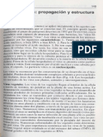 Microbiologia General-4 PDF