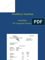 Strawberry Nutrition: Mark Bolda UC Cooperative Extension