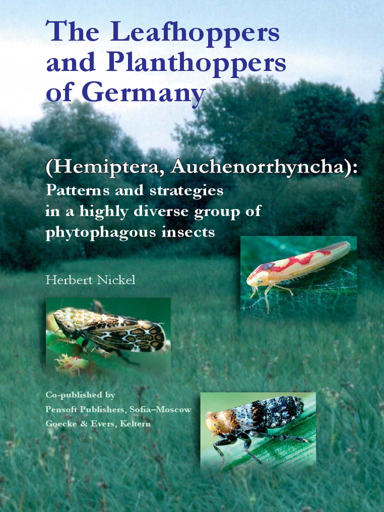 The Leafhoppers and Planthoppers of Germany Hemiptera Auchenorrhyncha  Patterns and Strategies in A Highly Diverse Group of Phytophagous Insects  Pensoft Series Faunistica 28 | PDF | Alps | Nature