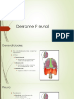 Derrame Pleural