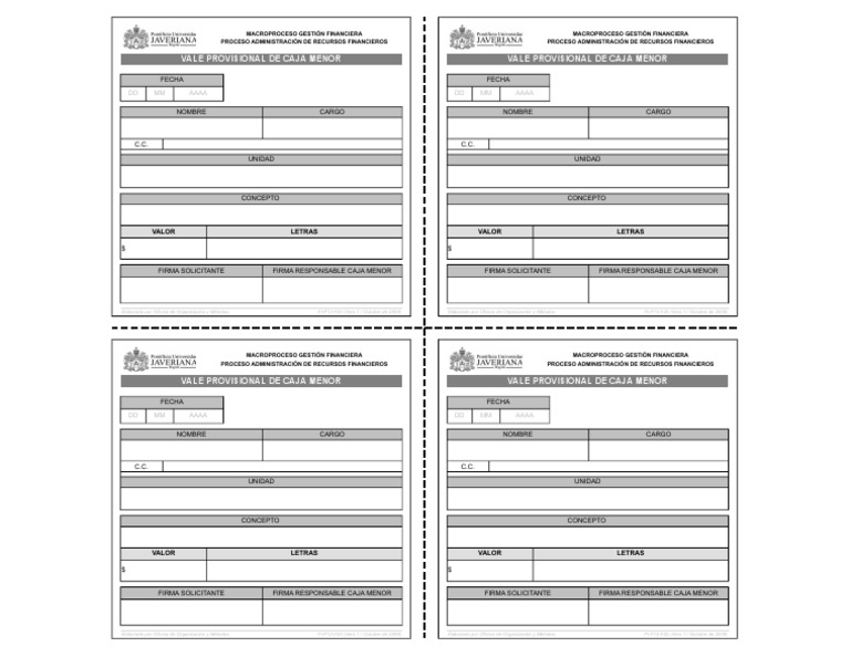 FI-P13-F20 Formato Vale Provisional de Caja Menor | PDF