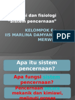 Anatomi Dan Fisiologi "Sistem Pencernaan": Kelompok 6: Iis Marlina Damyanti Merwin