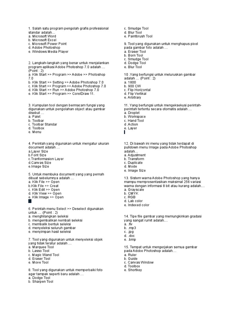 Salah Satu Program Pengolah Grafis Profesional Standar Adalah Nasi