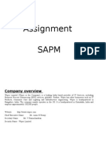 Assignment Sapm: Company Overview