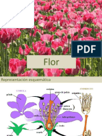 2- Teórica de flor.pdf