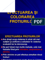 Efectuarea Si Colorarea