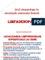 Limfo Adenopatii Vp1