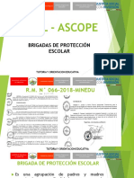 Brigadas de Protección Escolar