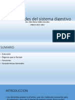 Unidad I, Generalidades Del Sistema Digestivo, Clase 1.