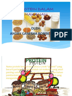 Protein Dalam Makanan