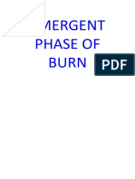 Emergent Phase of Burn