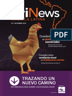 Avinews AL Diciembre