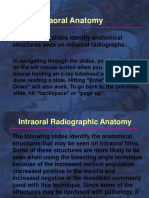 Self Study Intraoral Anatomy