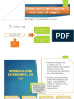 Transferencia de Masa 2 01