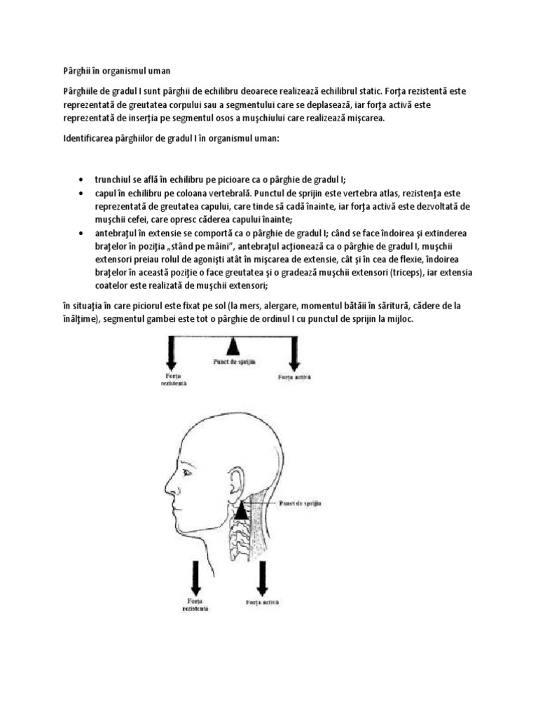 Biomecanica Parghii