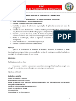 PAE - FIAT.pdf