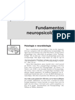 DocGo.net 177071434 Neuropsicologia Dos Transtornos Mentais.pdf
