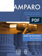 Amparo_7_Semestre.pdf