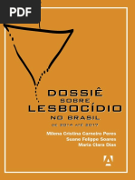Dossiê Sobre Lesbocídio No Brasil (1)